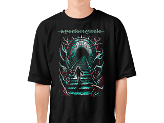 Nome do produto Camiseta A Perfect Circle | The Hollow Climb