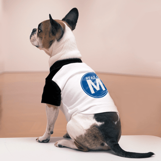 Nome do produto T-shirt Pet -  Faz o M