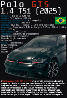 Nome do produto Camiseta Polo GTS 1.4