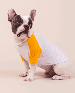 Nome do produto Roupinha pet Personalizada Nome