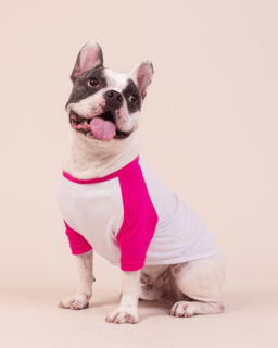 Nome do produto Roupinha pet Personalizada Nome