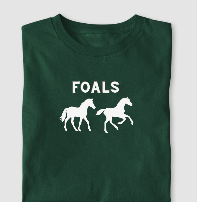 Camiseta Foals