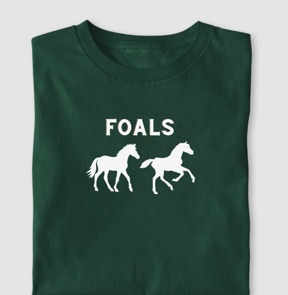 Camiseta Foals