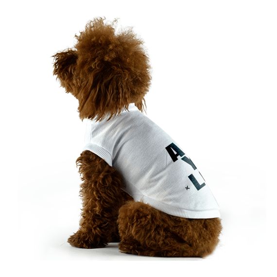 Camisa Pet Dog LOOK DE SÁBADO - SPY X FAMILY