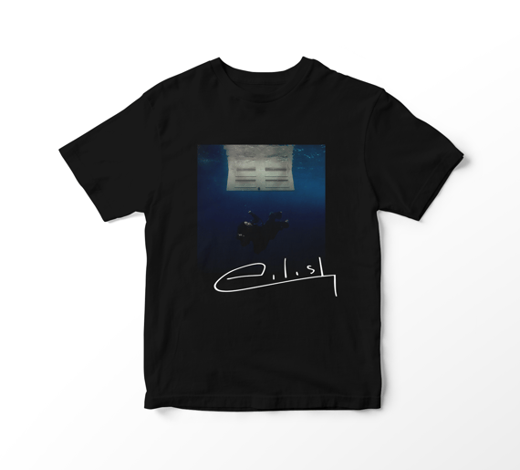 Camiseta Billie Eilish - Hit Me Hard and Soft Album Cover (preta)