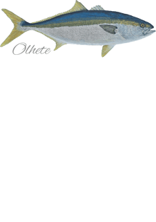 Nome do produto camisa OLHETE