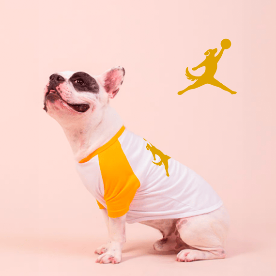 Camisa Pet Jordan Dog