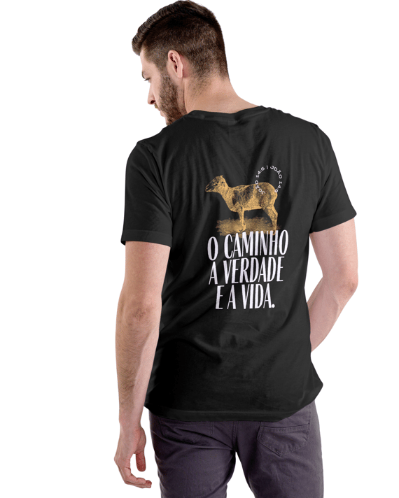 CVV - TSHIRT COLORS