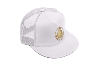 Nome do produto Boné Engenharia Industrial Madeireira UFPR – Design Metálico Premium com Logo Exclusiva