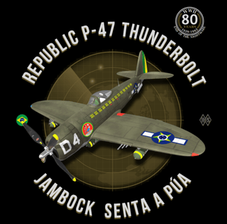 Nome do produto Camiseta P47-Thunderbolt Jambock Senta a Púa