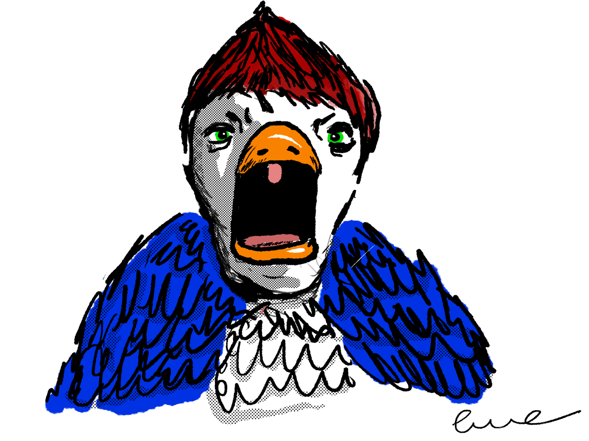 Nome do produto: PICA_PAU