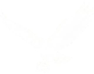 Nome do produto Edwiges The Owl | Premium T-Shirt