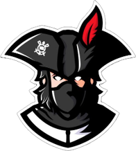 Nome do produto Ninja Musketeer | Premium T-Shirt