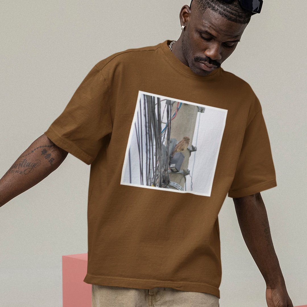 Nome do produto: Oversized: Coruja Urbana