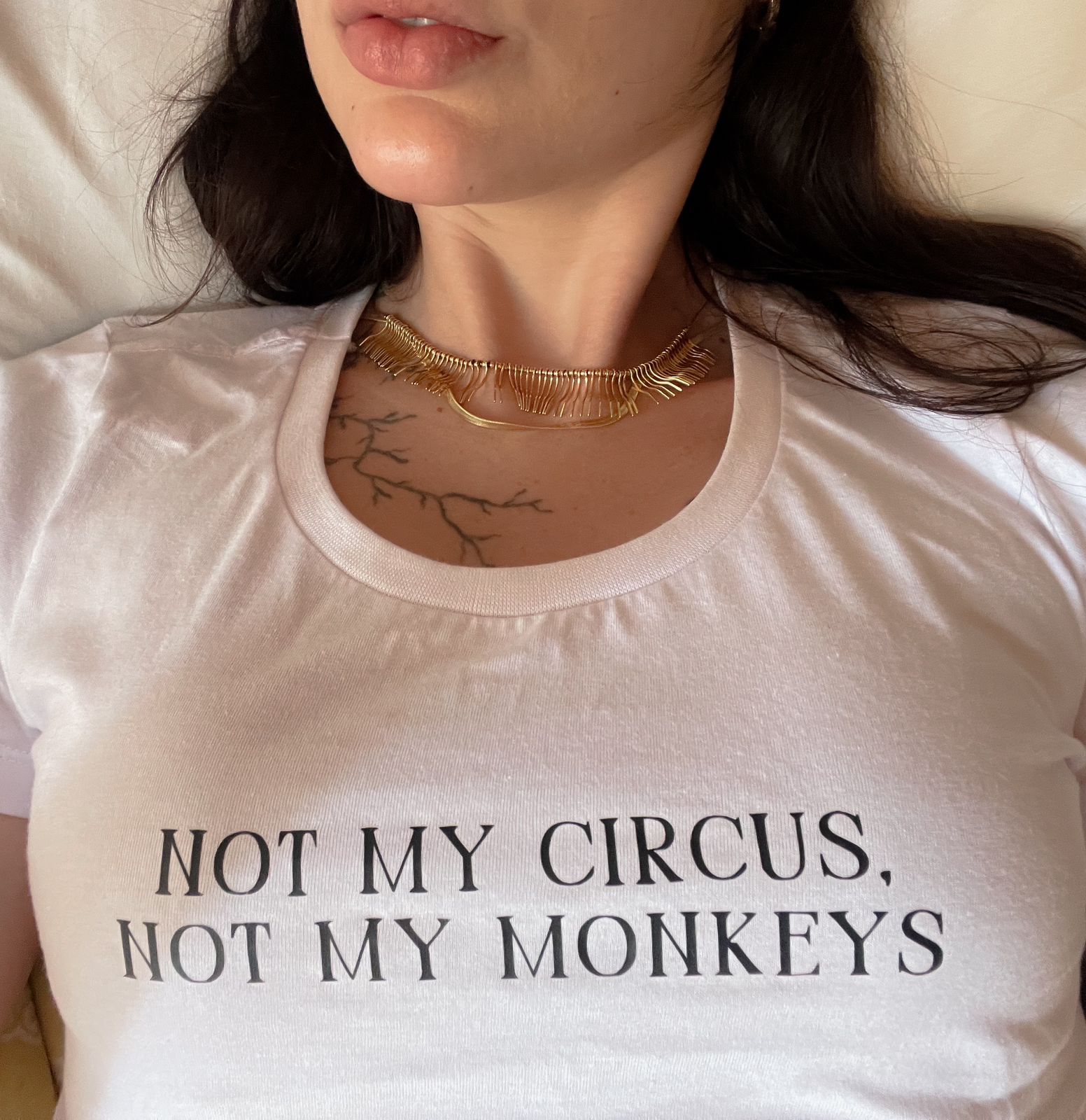 Not My Circus, Not My Monkeys