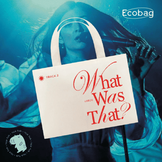 Ecobag What Was That