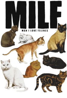 Nome do produto Camiseta 