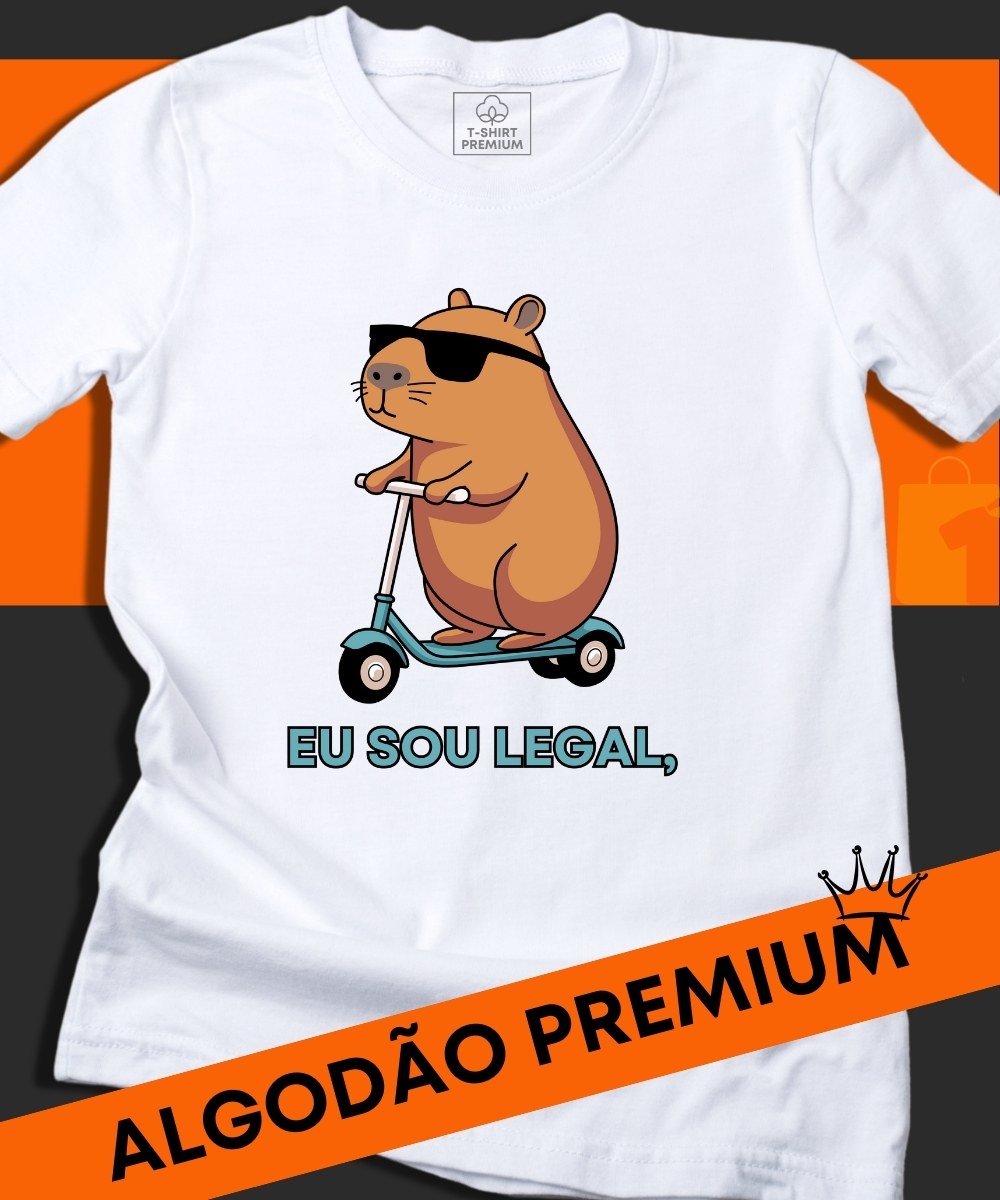 CAMISETA PRESENTE CRIATIVO PARA UMA PESSOA LEGAL