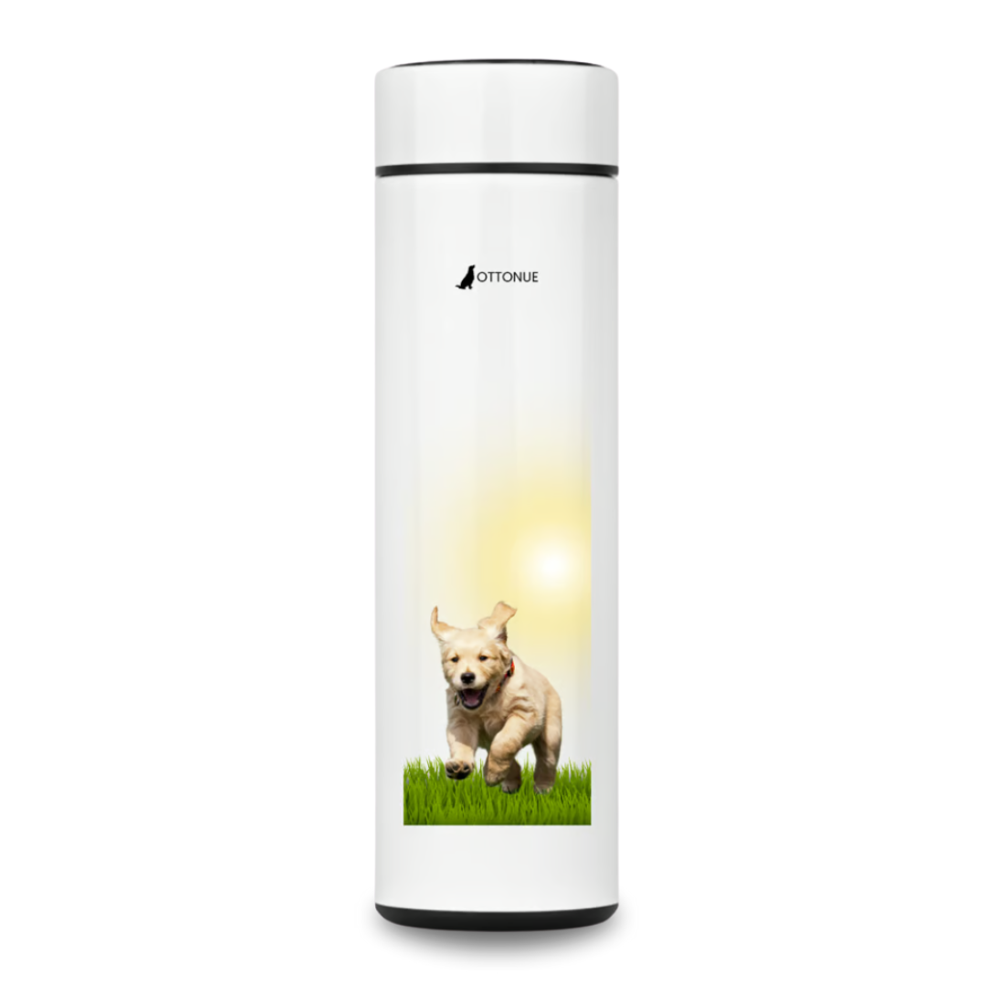 Nome do produto: Garrafa Golden Sunshine