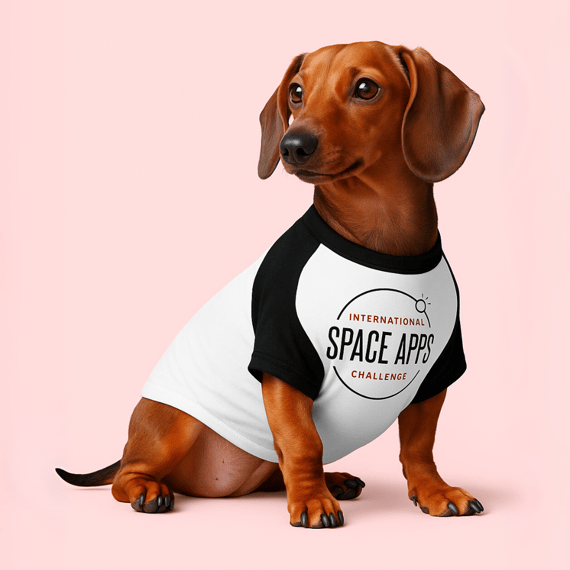 Roupinha de Pet NASA Space Apps