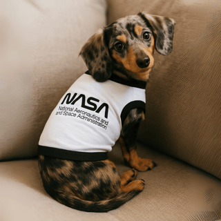 Nome do produtoRoupinha de Pet NASA Aeronautics