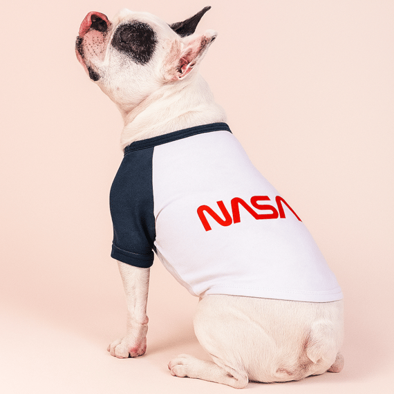 Roupinha de Pet NASA