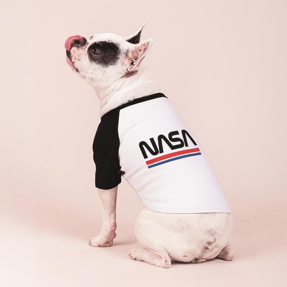 Roupinha de Pet NASA Tiras