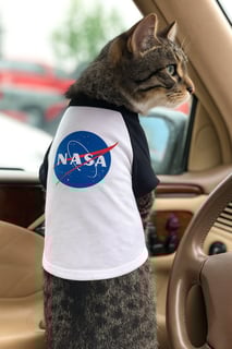 Nome do produtoRoupinha de Pet NASA Logo