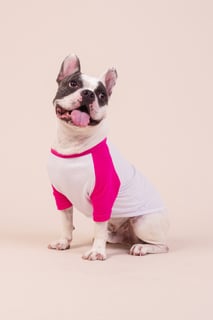 Nome do produtoRoupinha de Pet NASA Aeronautics