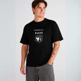 Camisa Schrödinger