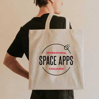 EcoBag NASA Space Apps