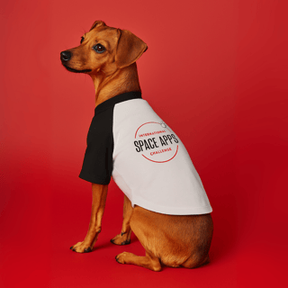 Nome do produtoRoupinha de Pet NASA Space Apps