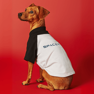 Roupinha de Pet SpaceX