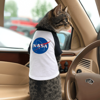 Nome do produtoRoupinha de Pet NASA Logo
