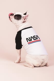 Nome do produtoRoupinha de Pet NASA Tiras
