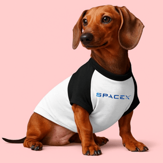 Nome do produtoRoupinha de Pet SpaceX