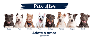 Nome do produto Ecobag - Adote o amor - Collab Pits Ales