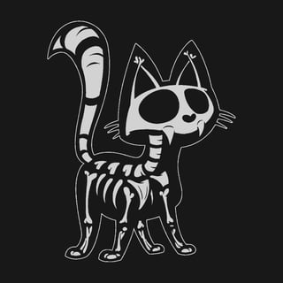 Nome do produto X-Cat