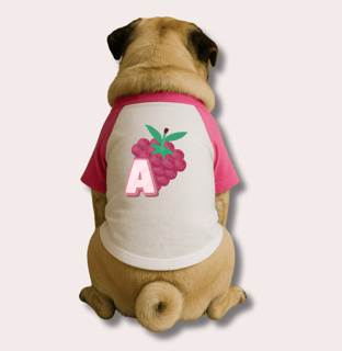 Nome do produtoRoupa para Cachorro Nome  Amora 