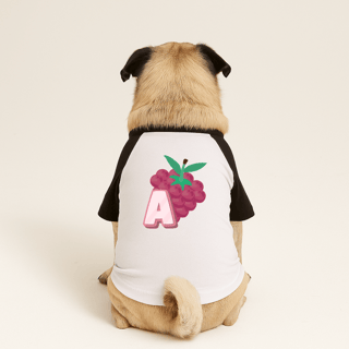 Nome do produtoRoupa para Cachorro Nome  Amora 
