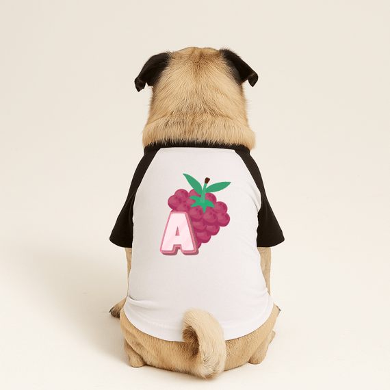 Roupa para Cachorro Nome  Amora 
