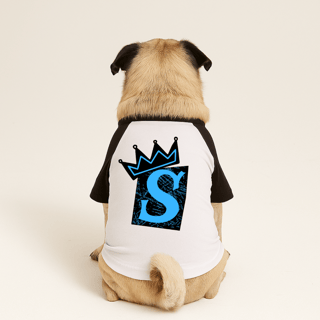 Nome do produtoRoupa para Cachorro Letra S 