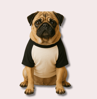 Nome do produtoRoupa para Cachorro Nome Thor 
