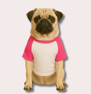 Nome do produtoRoupa para Cachorro Nome  Amora 