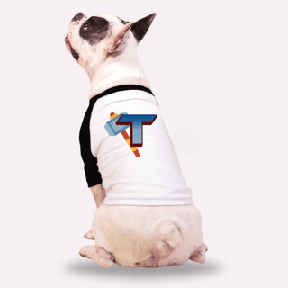 Nome do produtoRoupa para Cachorro Nome Thor 