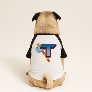 Nome do produtoRoupa para Cachorro Nome Thor 