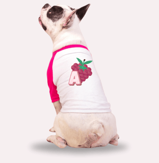 Nome do produtoRoupa para Cachorro Nome  Amora 