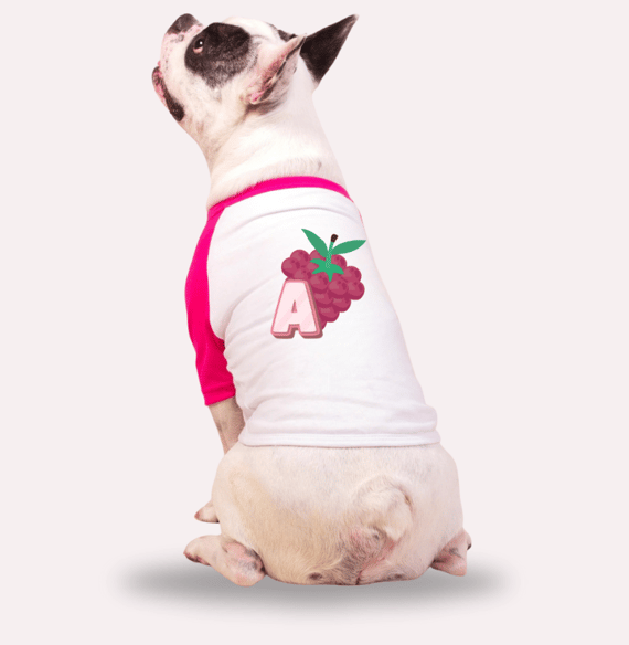 Roupa para Cachorro Nome  Amora 