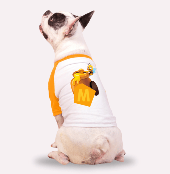 Roupa para Cachorro Nome Mel 
