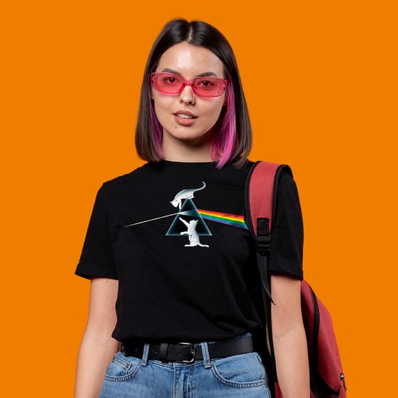 PINK FLOYD - DARK SIDE OF THE CAT